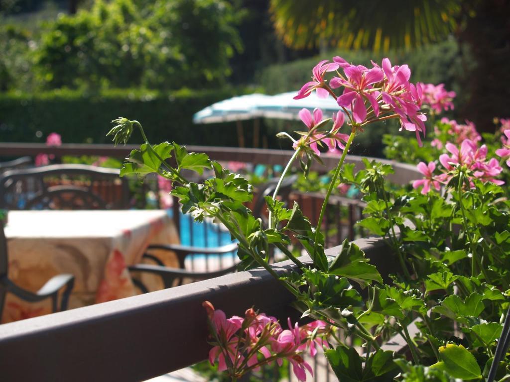 Hotel Casa Serena Malcesine Exteriér fotografie